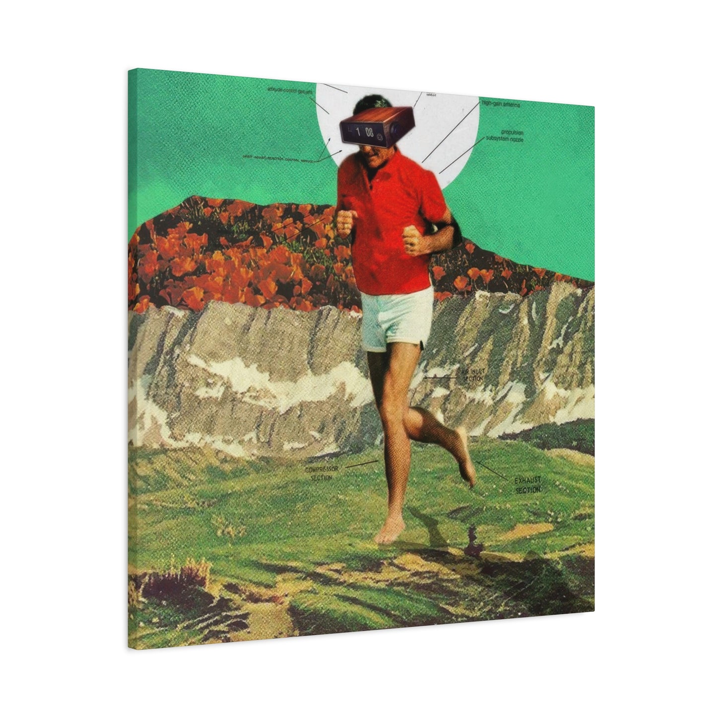 Frank Moth Sheeprunner Wall Art & Canvas Prints