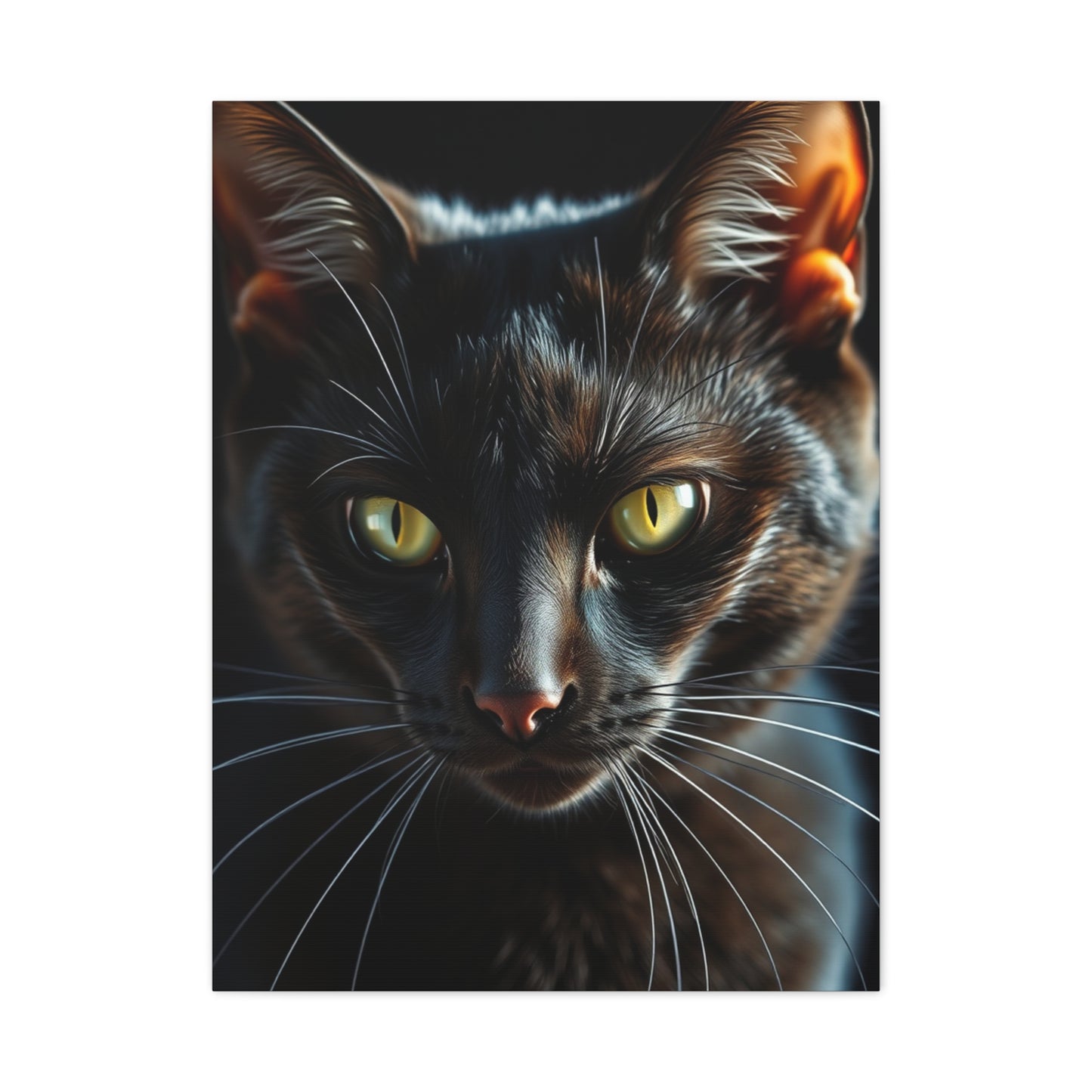 Vision Black Cat Art Art Wall Art & Canvas Print