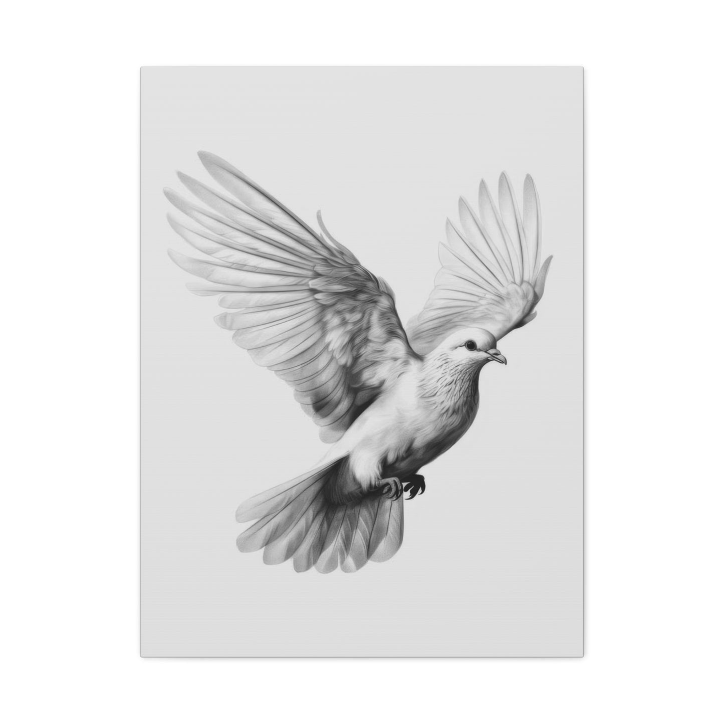 Dove Grey Wall Art & Canvas Prints