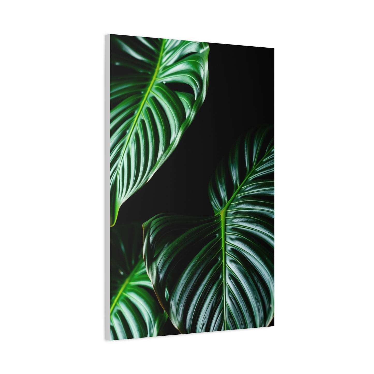 Collection Monstera Plant Art Art Wall Art & Canvas Print
