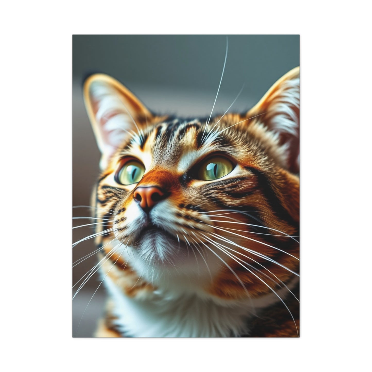 Supreme Tabby Cat Art Collection Wall Art & Canvas Print