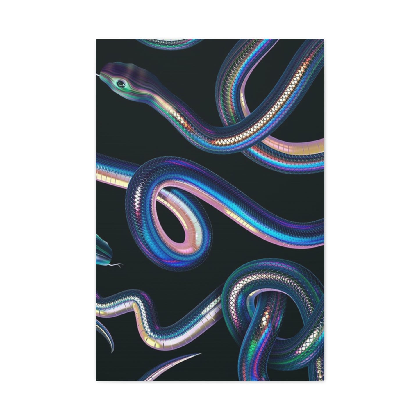 Snake On Black Canvas Wall Art & Canvas Prints