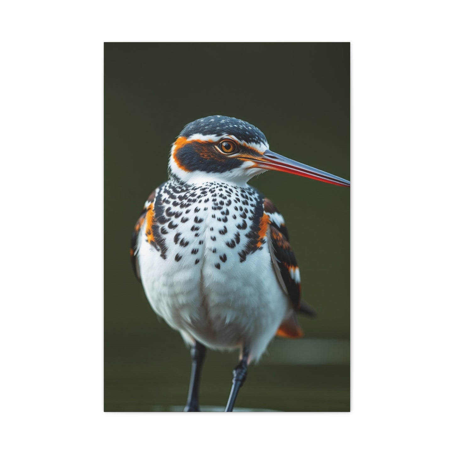 Collection Sandpiper Art Art Wall Art & Canvas Print