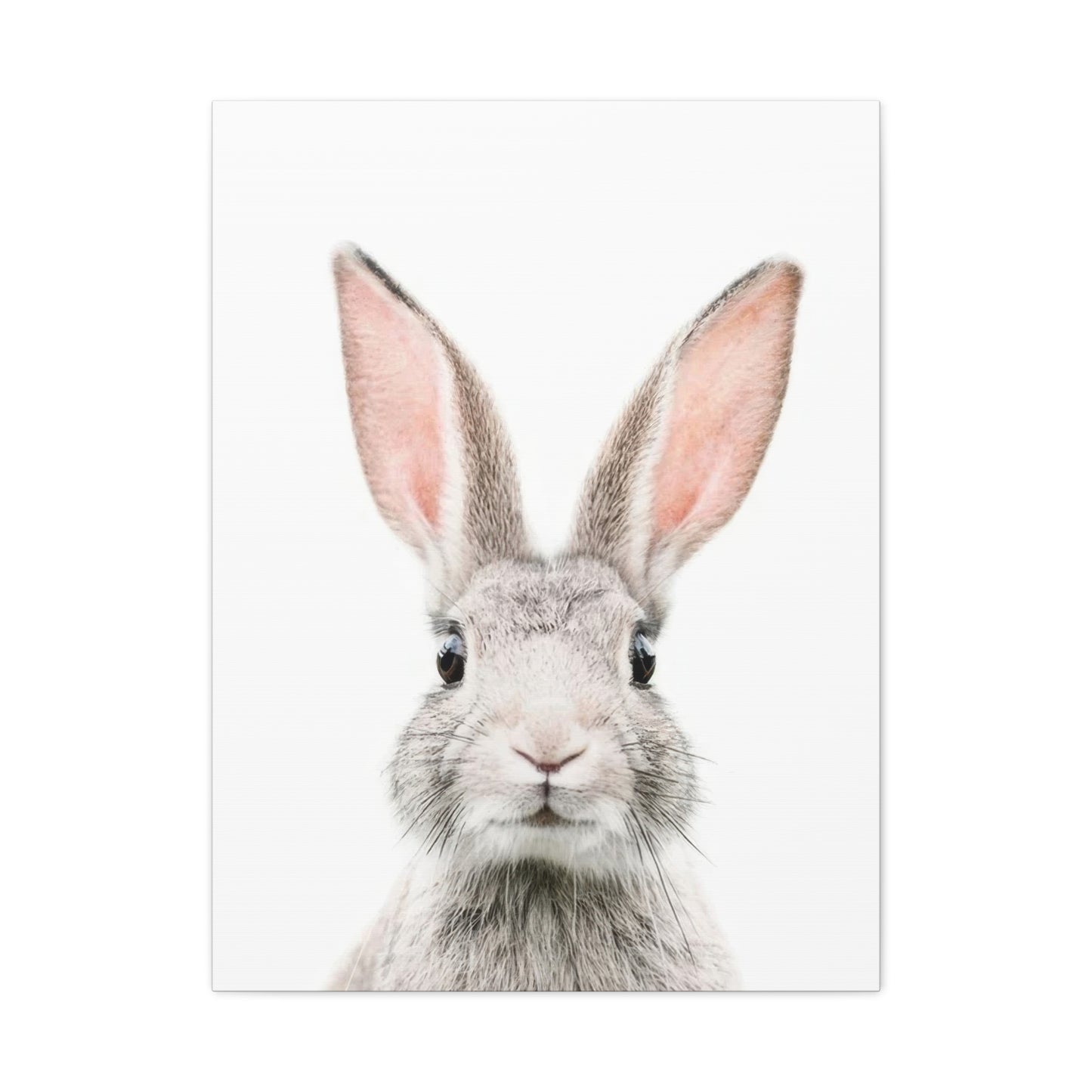 Kathrin Pienaar Bunny Face Wall Art & Canvas Prints