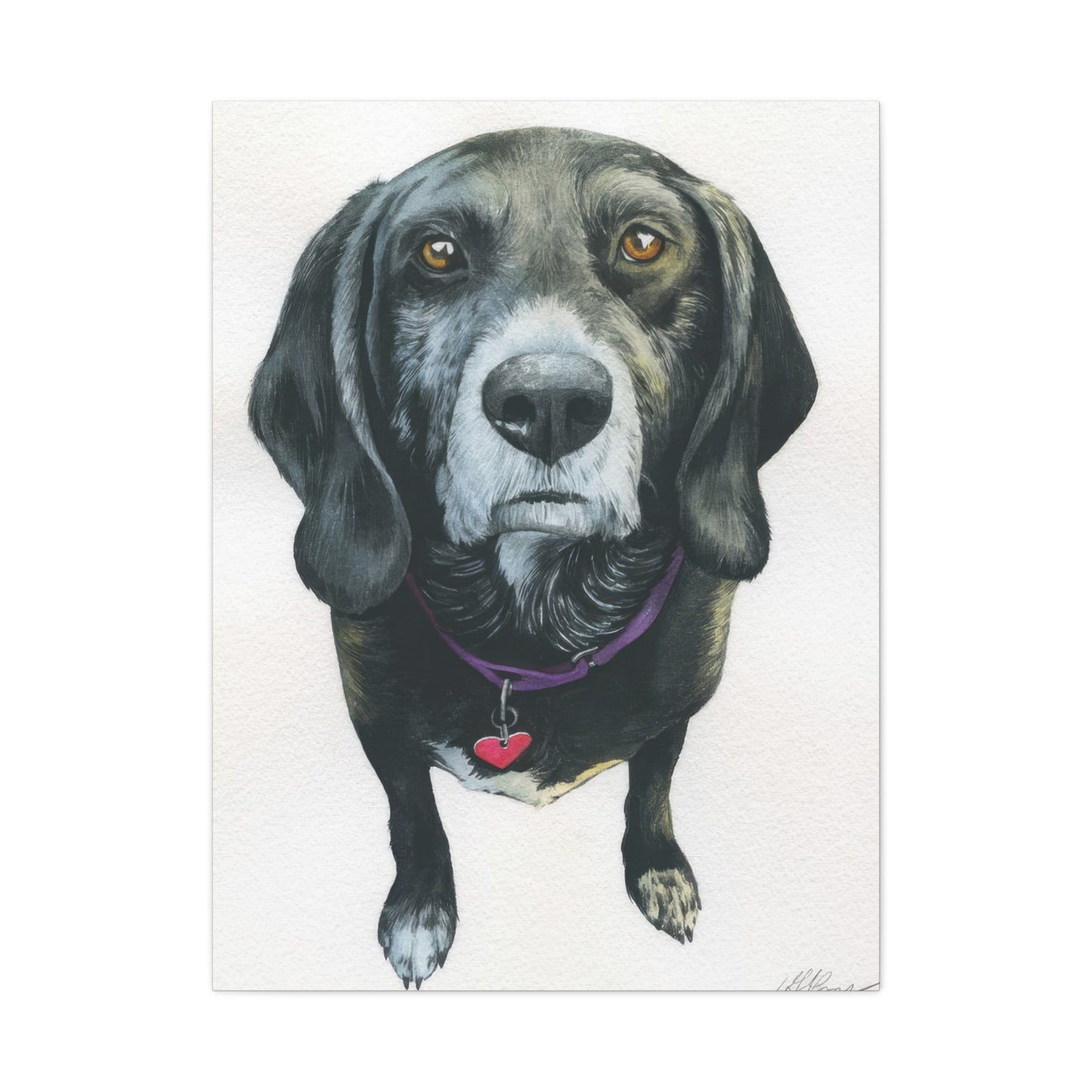Grace Pop Black Dog Wall Art & Canvas Prints