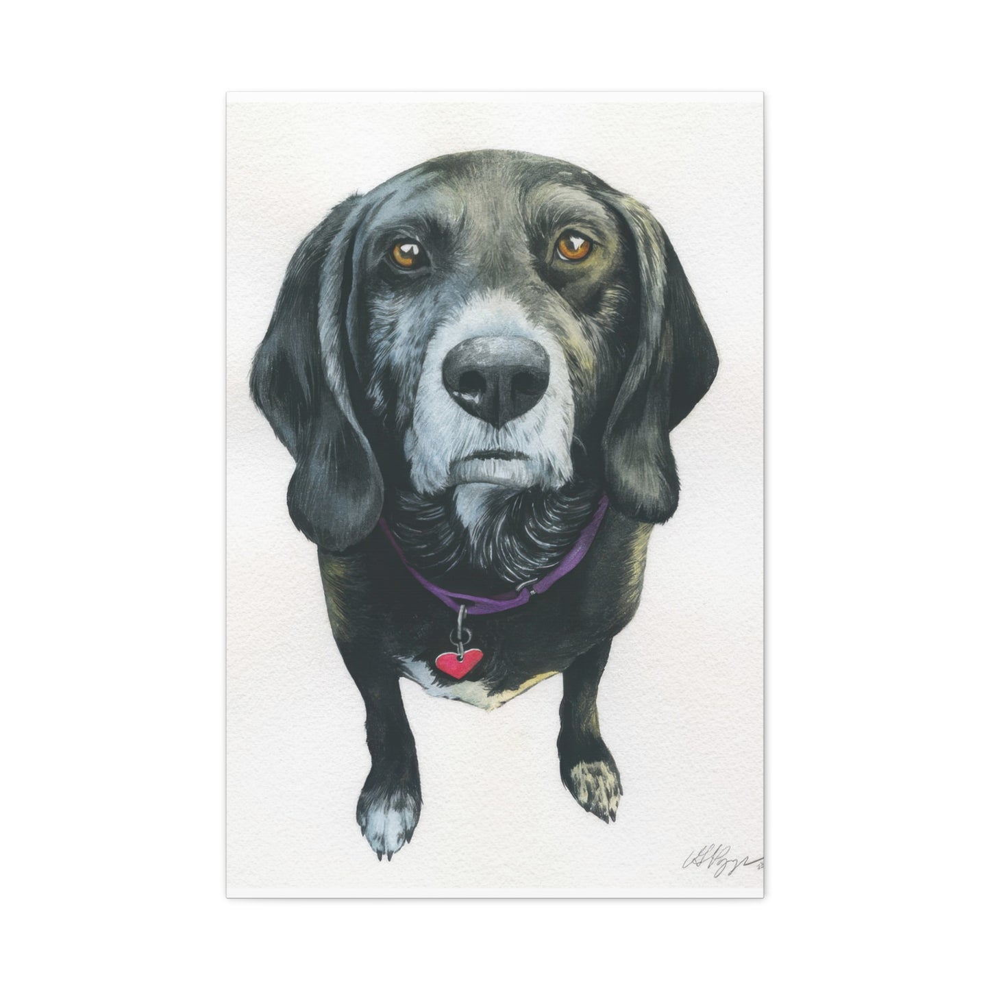 Grace Pop Black Dog Wall Art & Canvas Prints
