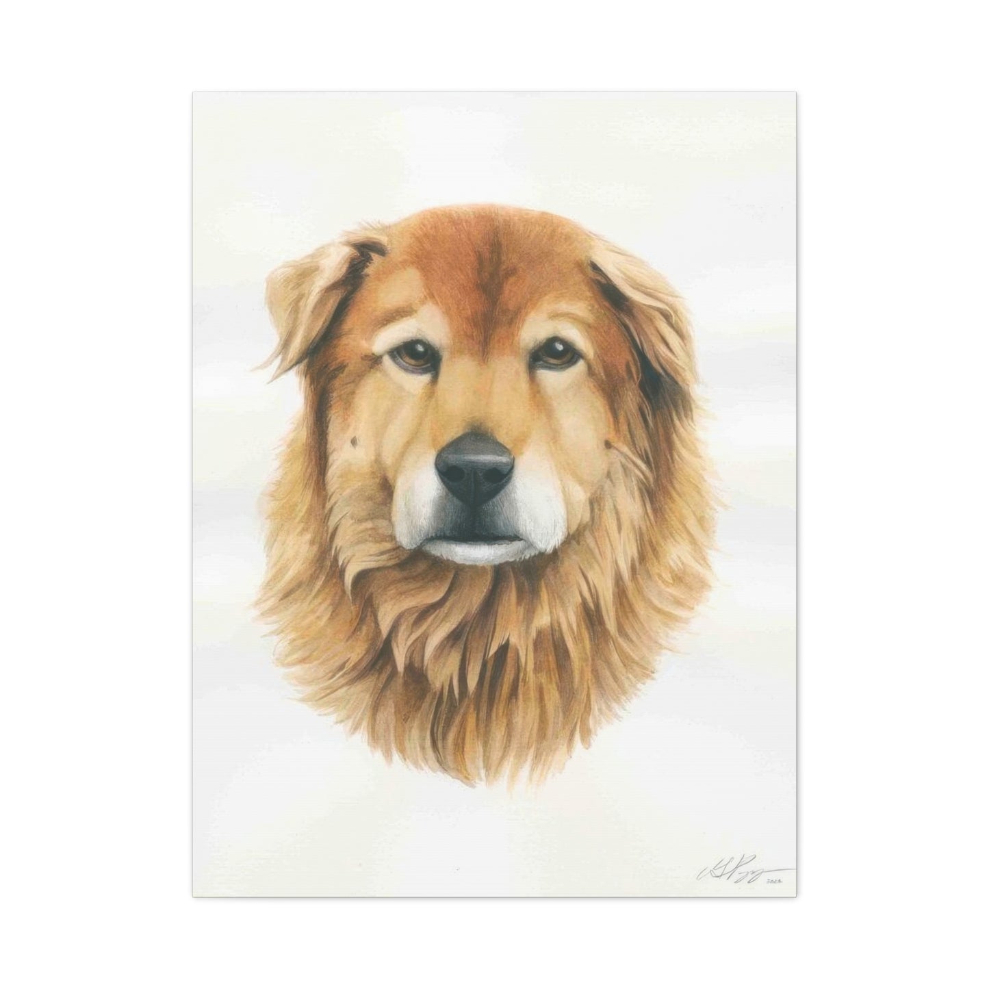 Grace Pop Furry Dog Wall Art & Canvas Prints