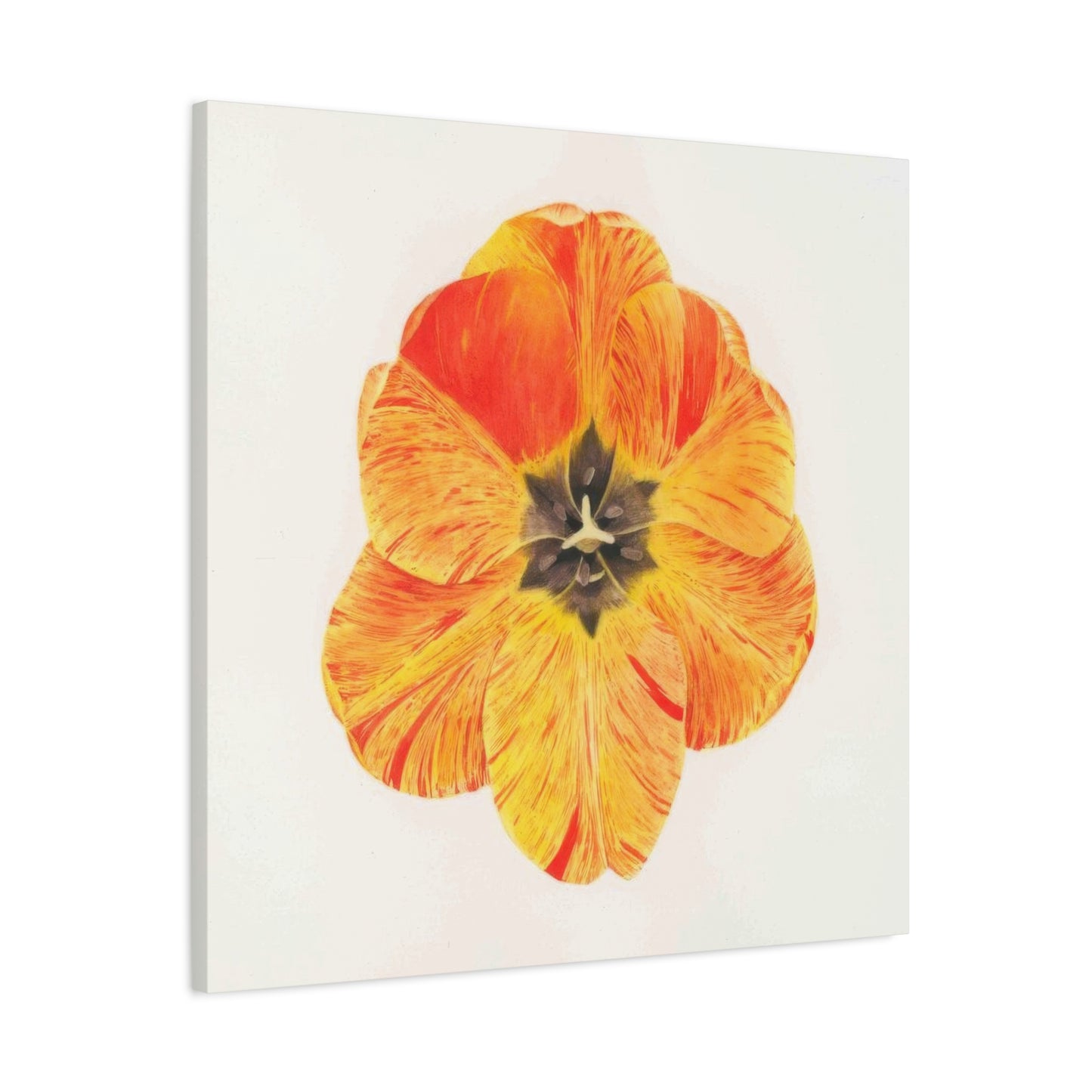 Grace Popp Orange Flower Head Wall Art & Canvas Prints