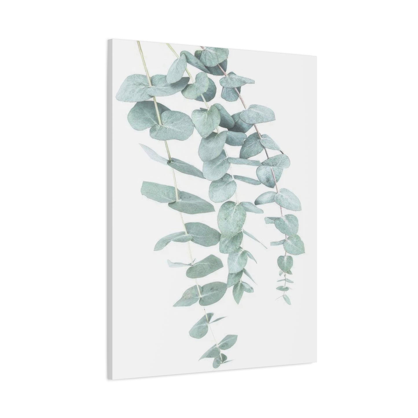 Kathrin Pienaar Eucalyptus Wall Art & Canvas Prints