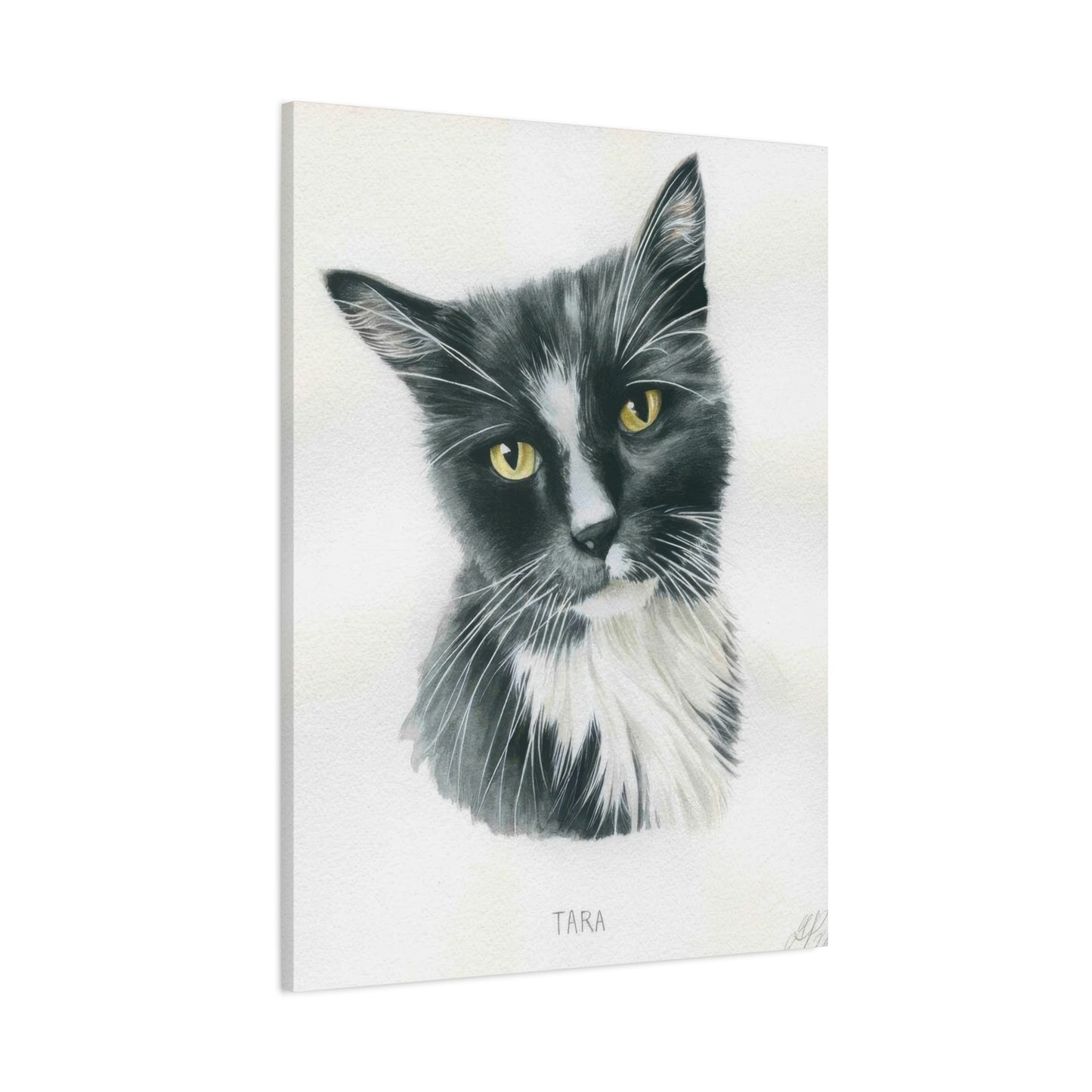 Grace Popp Tara The Cat Wall Art & Canvas Prints