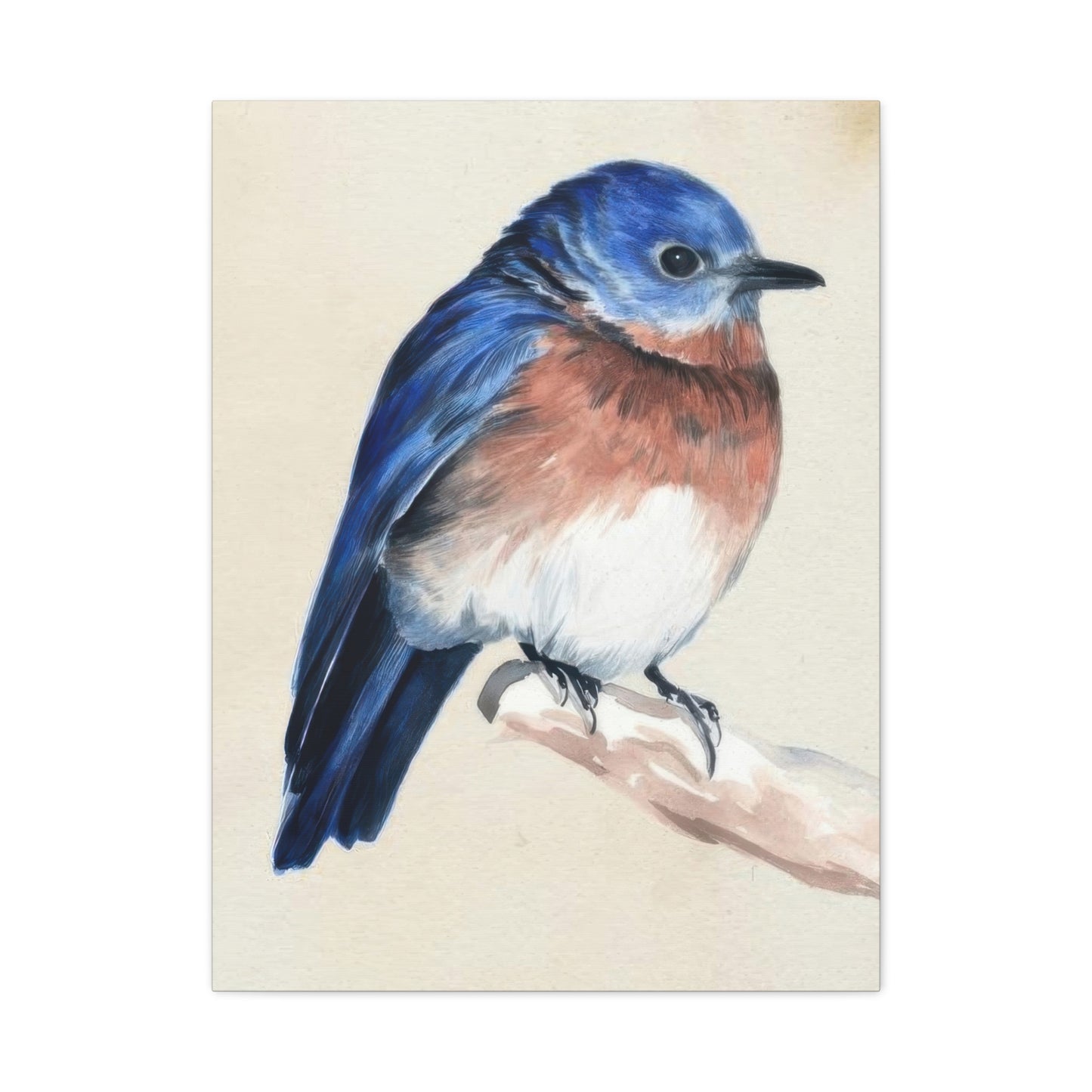 Jennifer Paxton Parker Little Bird On Branch 1 Wall Art & Canvas Prints