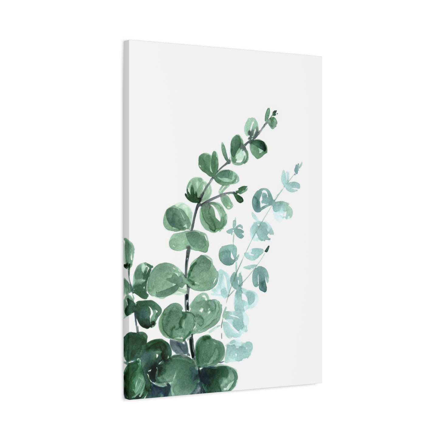 Eucalyptus Emerging Bottom Left Wall Art & Canvas Prints