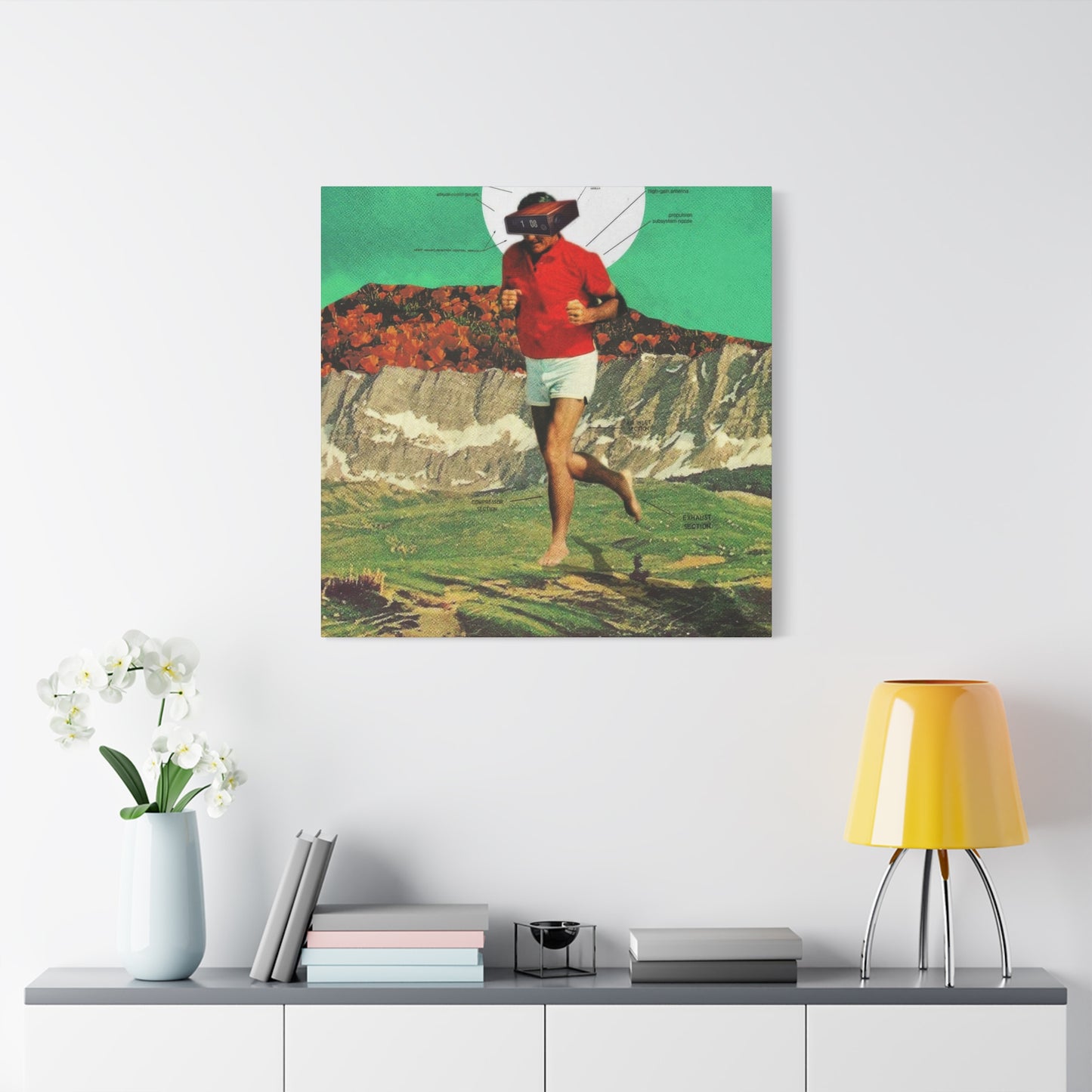 Frank Moth Sheeprunner Wall Art & Canvas Prints