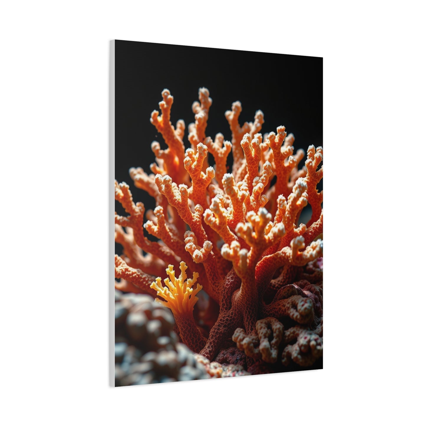 Coral Art Refined Canvas Wall Art & Canvas Print