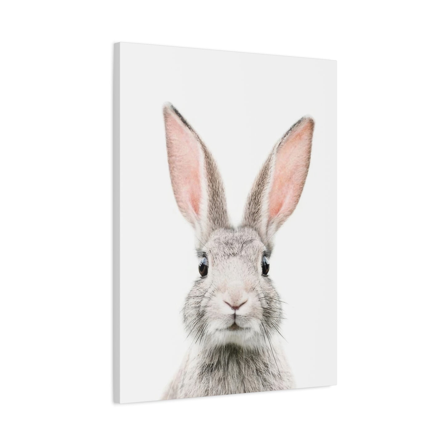 Kathrin Pienaar Bunny Face Wall Art & Canvas Prints