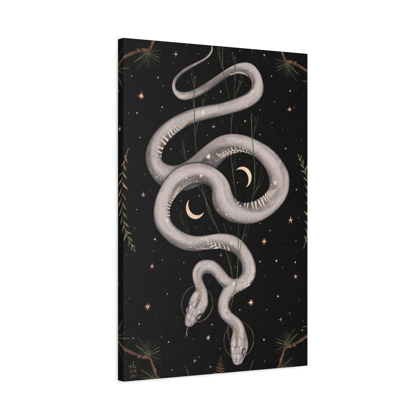 Two Faced Snake Wall Art & Canvas Prints