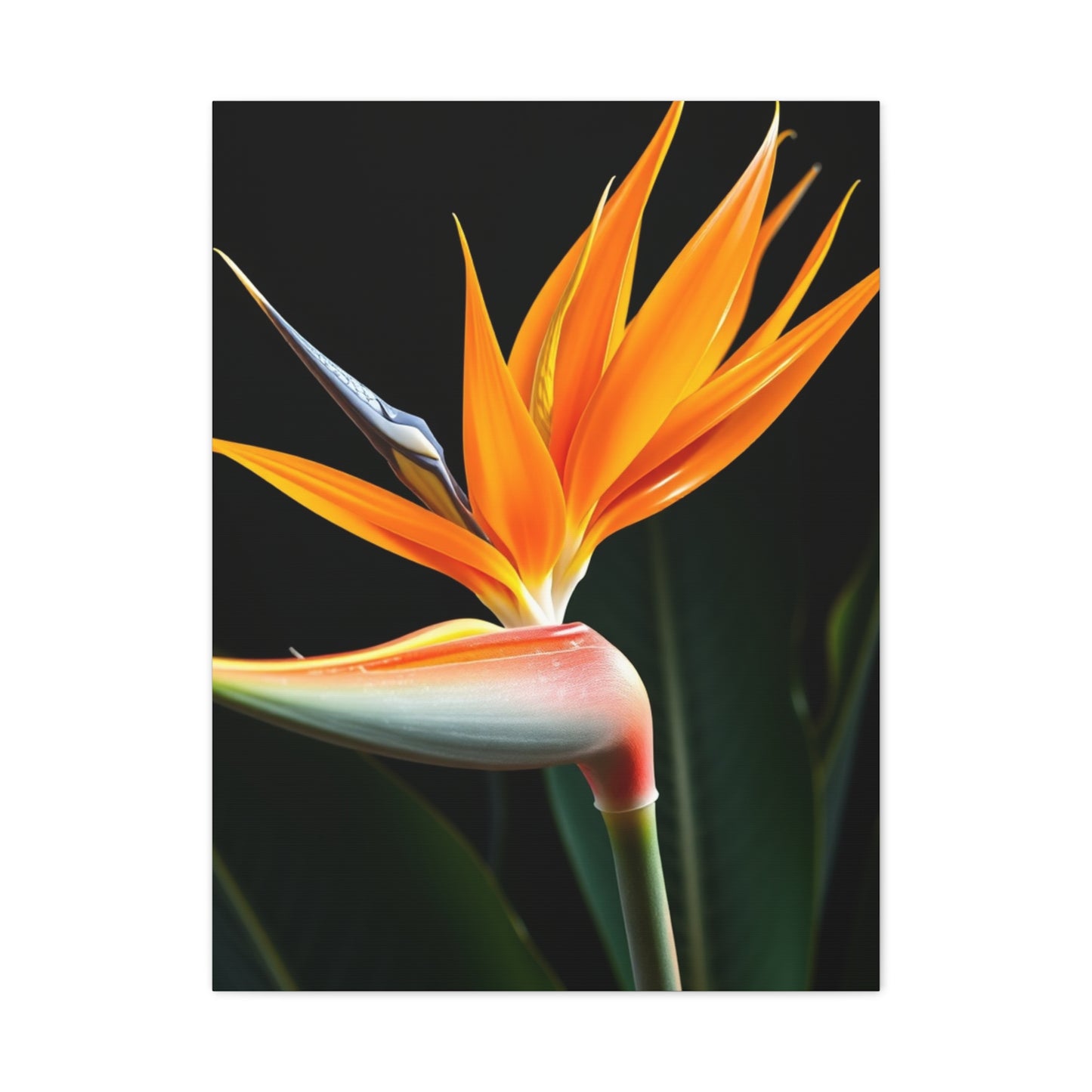 Vision Bird of Paradise Plant Art Art Wall Art & Canvas Print