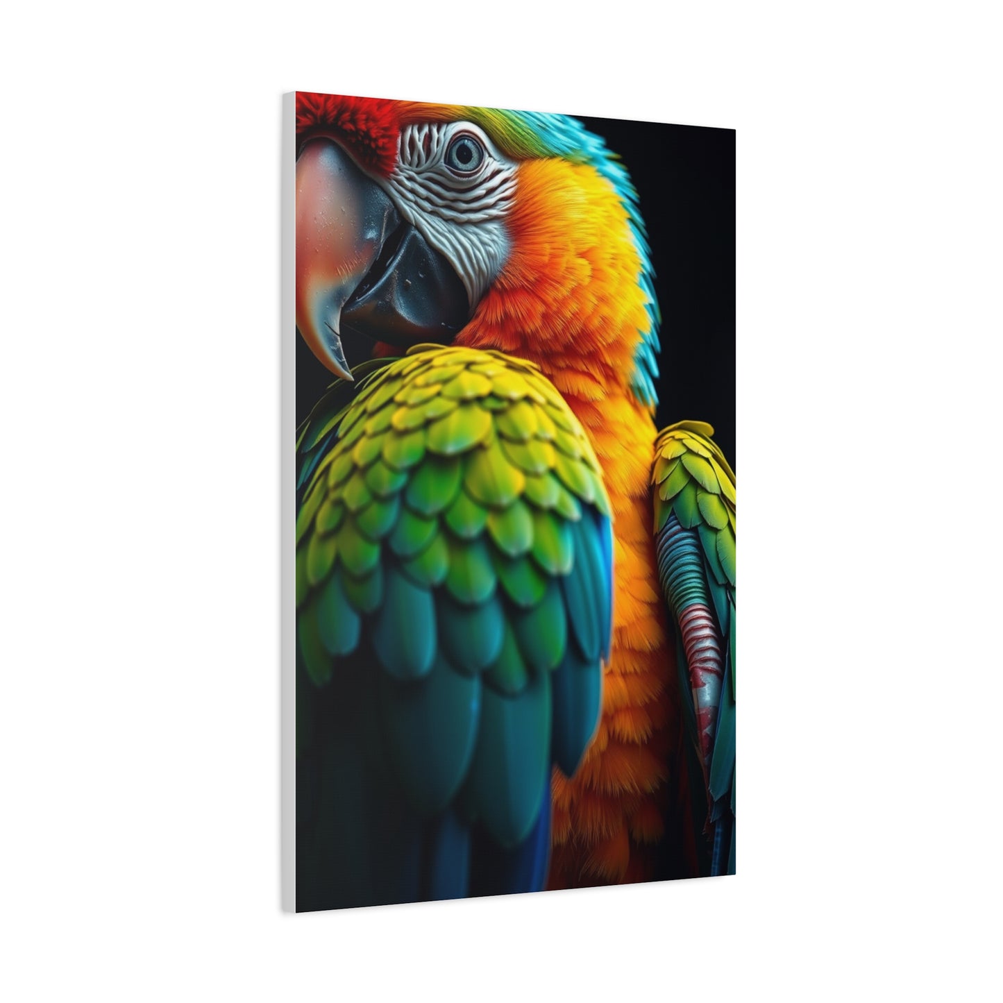 Collection Parrot Art Art Wall Art & Canvas Print