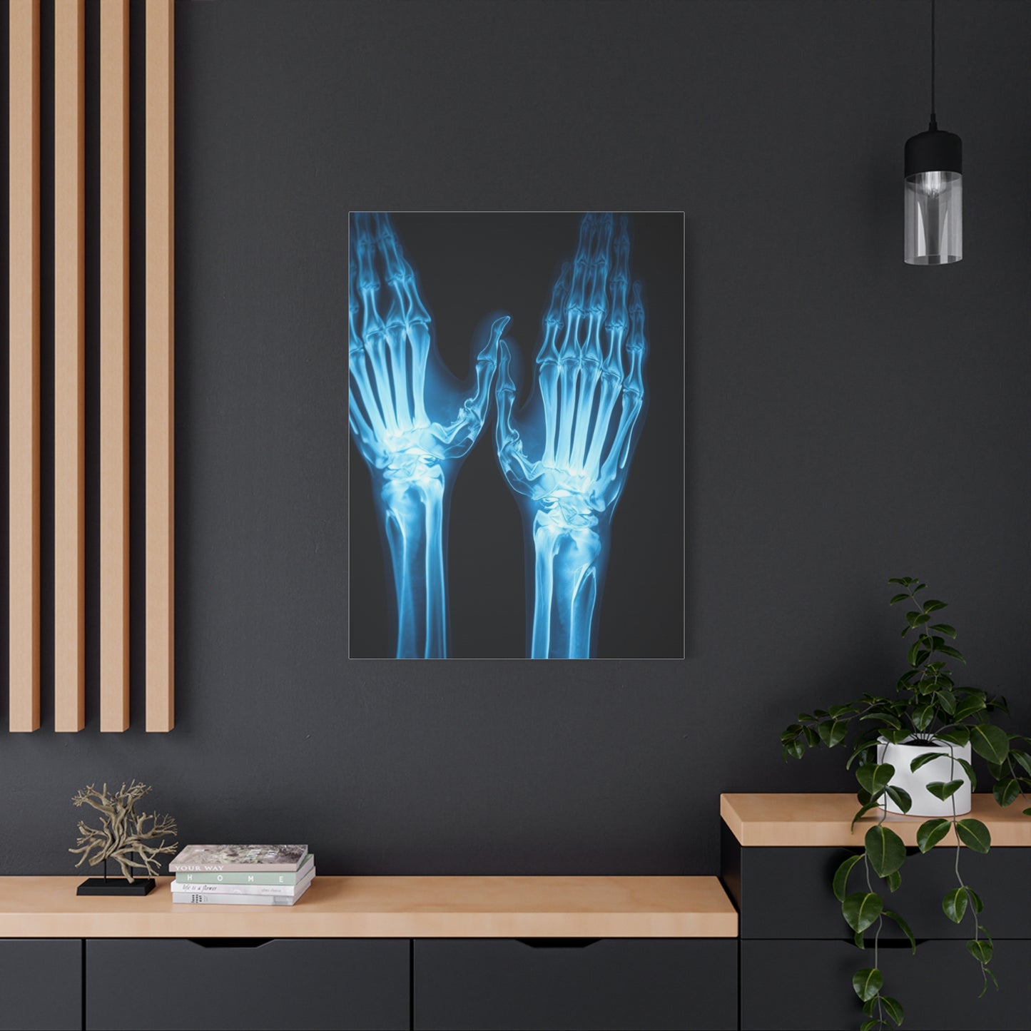 Collection X-Ray Photography Art Art Wall Art & Canvas Print