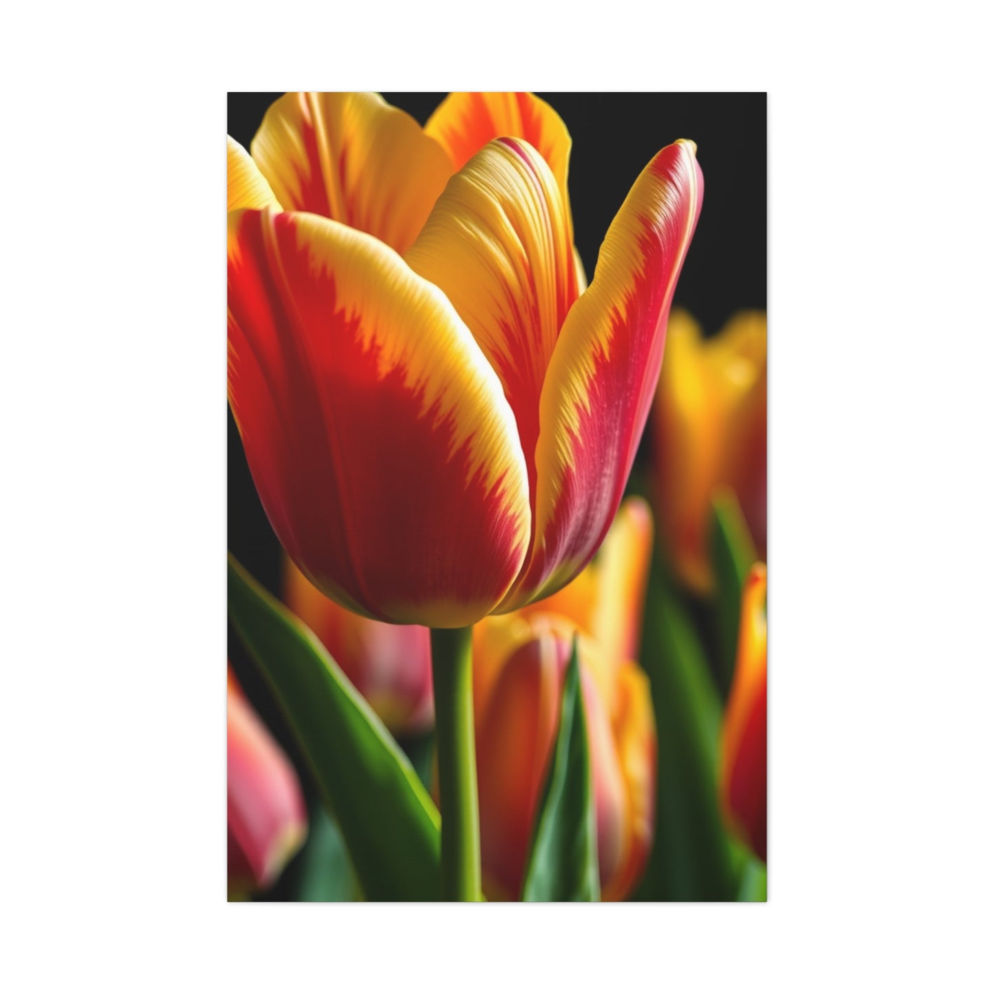 Tulip Flower Art Luxury Canvas Wall Art & Canvas Print