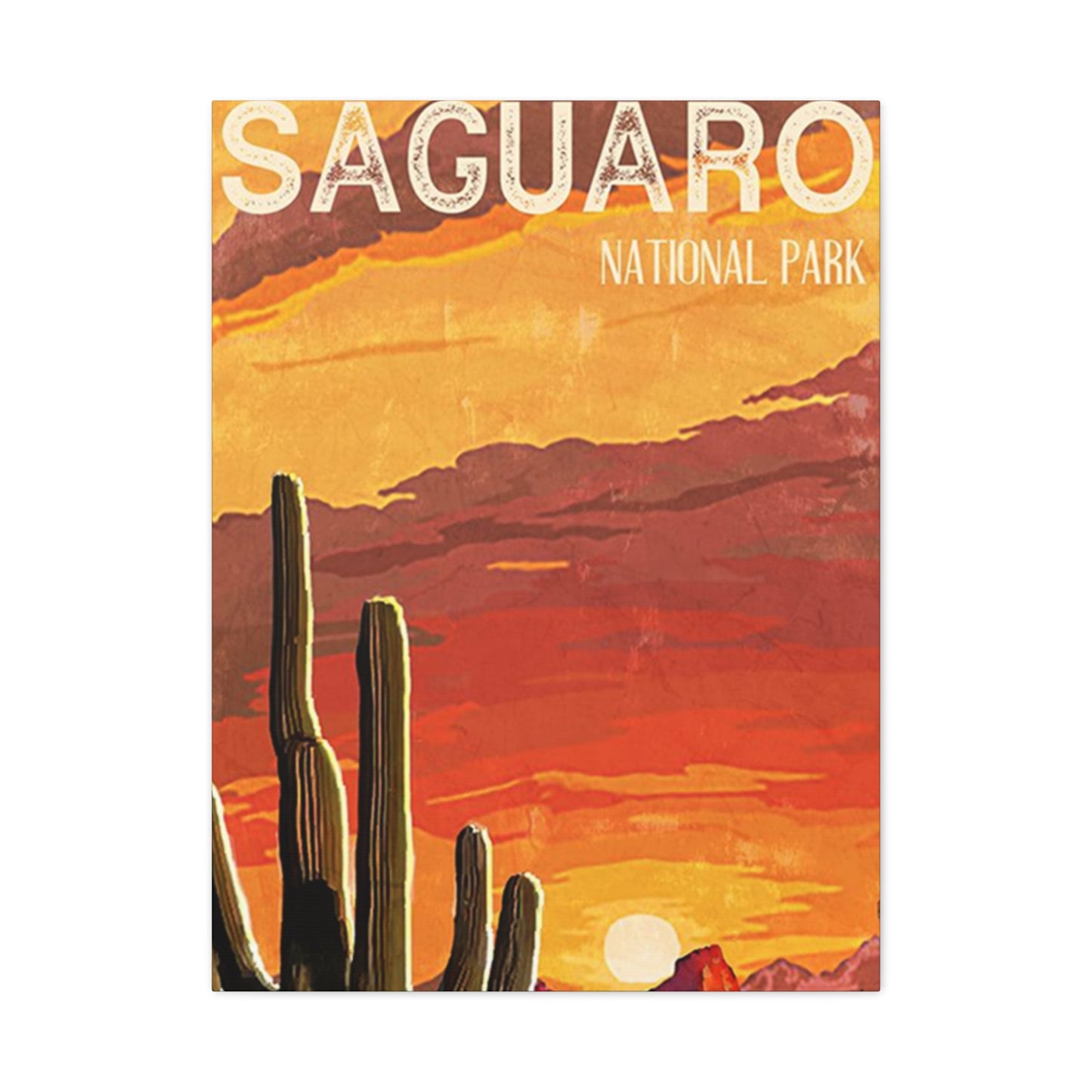 Saguaro National Park Arizona Wall Art & Canvas Prints
