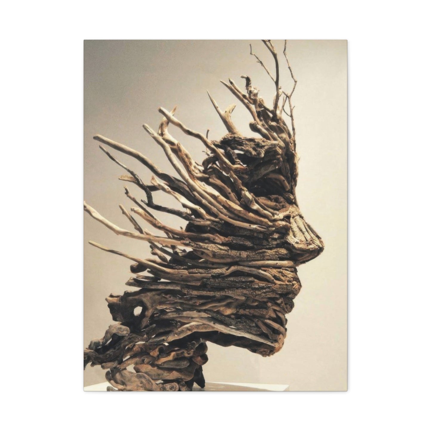 Driftwood Face Wall Art & Canvas Prints