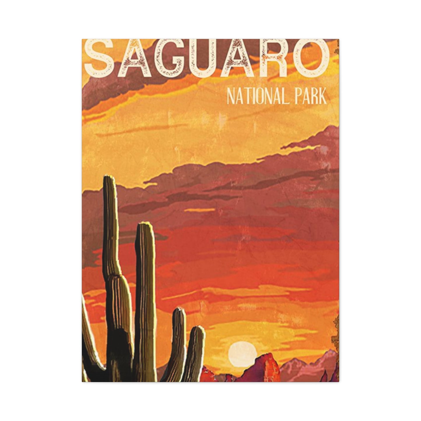 Saguaro National Park Arizona Wall Art & Canvas Prints