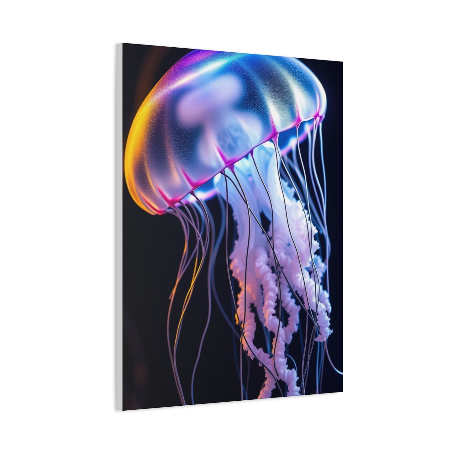 Collection Jellyfish Art Art Wall Art & Canvas Print
