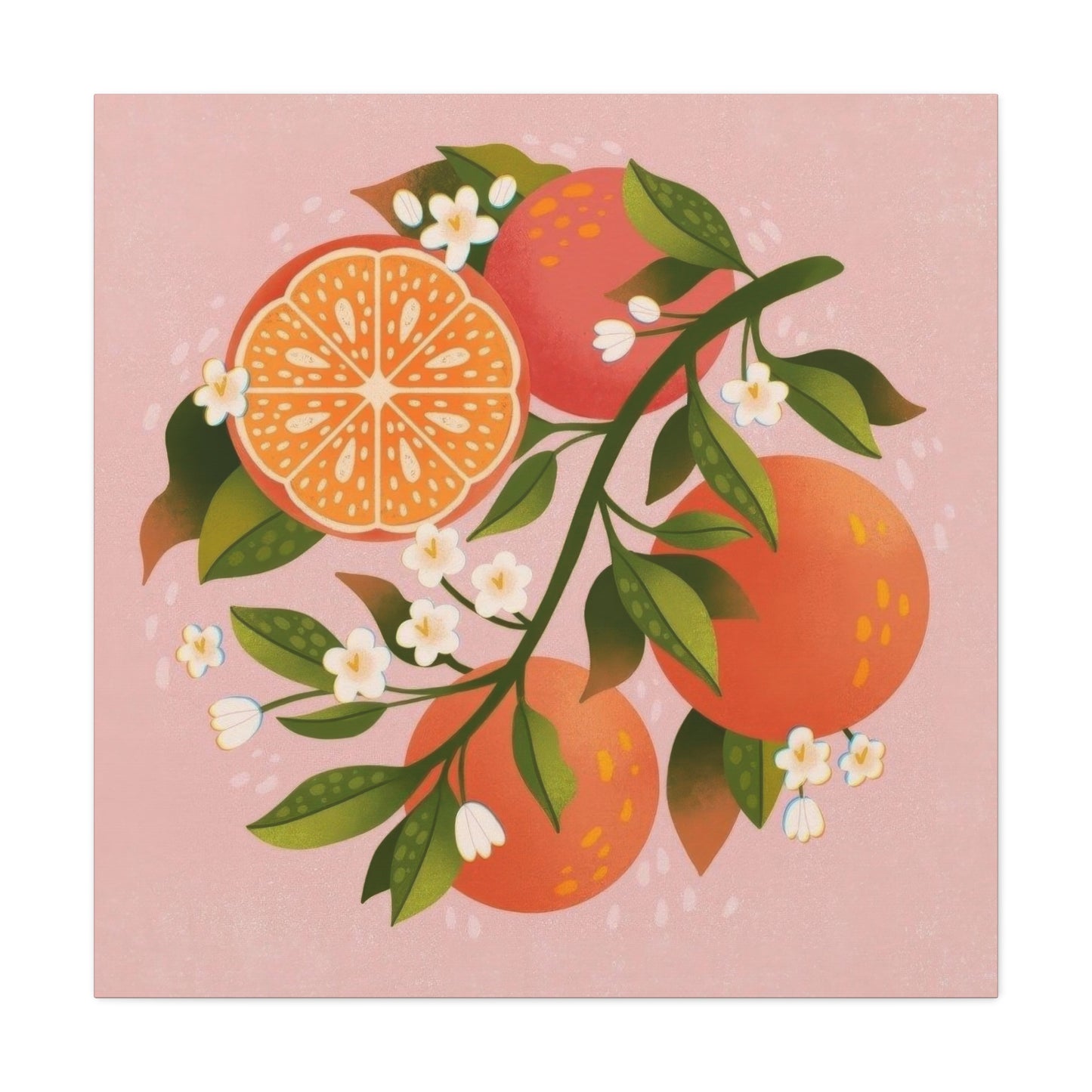 Oranges Pink BG Wall Art & Canvas Prints
