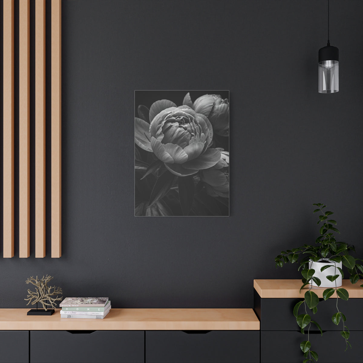 Peony Close-Up in Black and White Wall Art & Canvas Prints