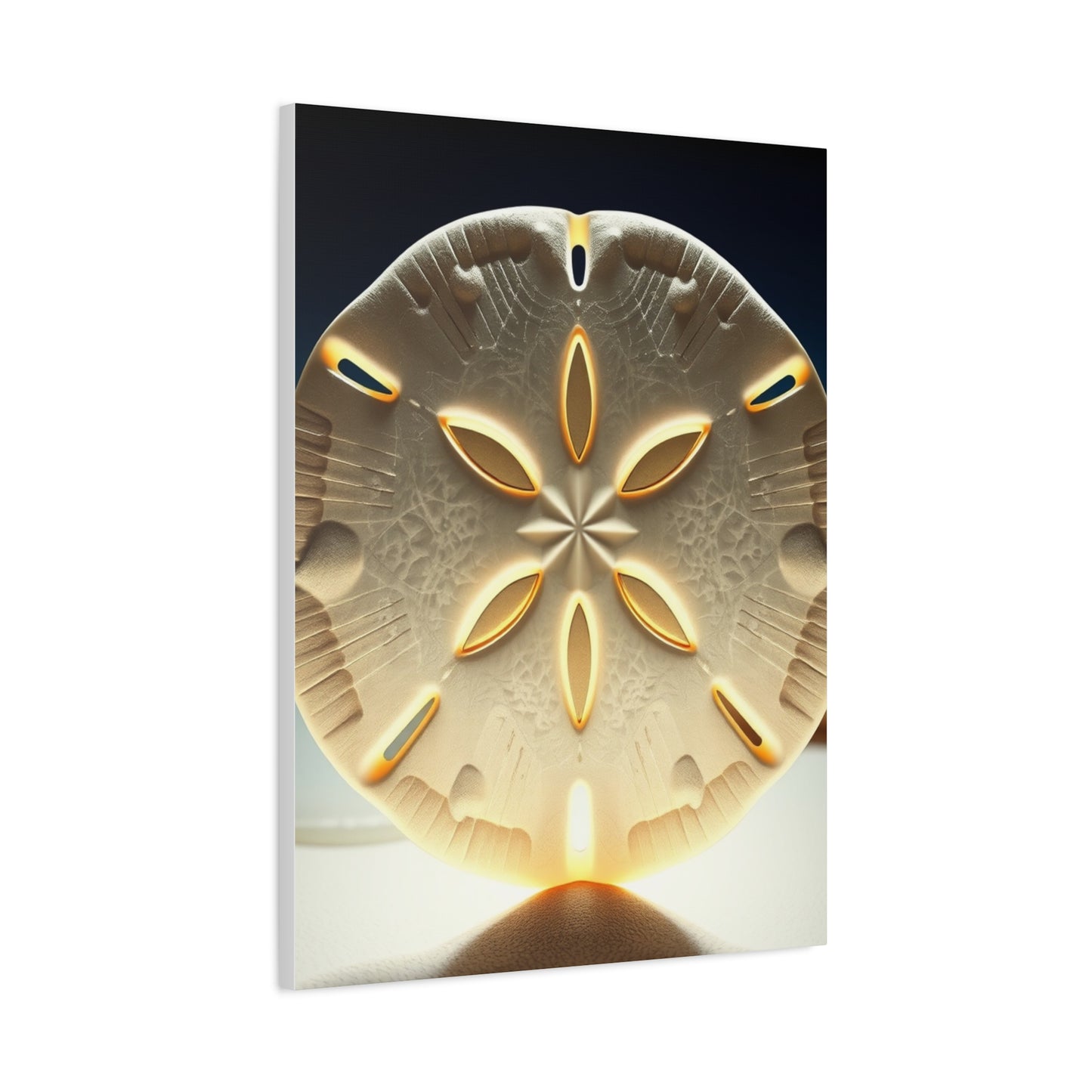 Collection Sand Dollar Art Art Wall Art & Canvas Print