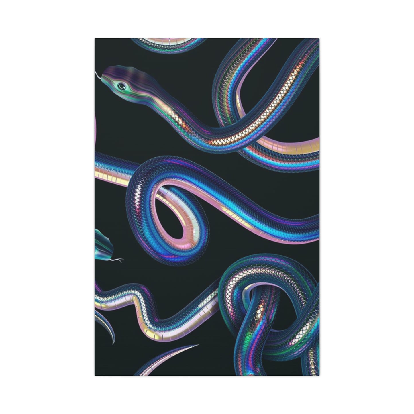 Snake On Black Canvas Wall Art & Canvas Prints
