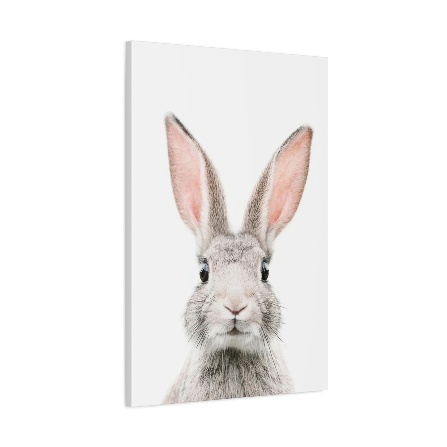 Kathrin Pienaar Bunny Face Wall Art & Canvas Prints