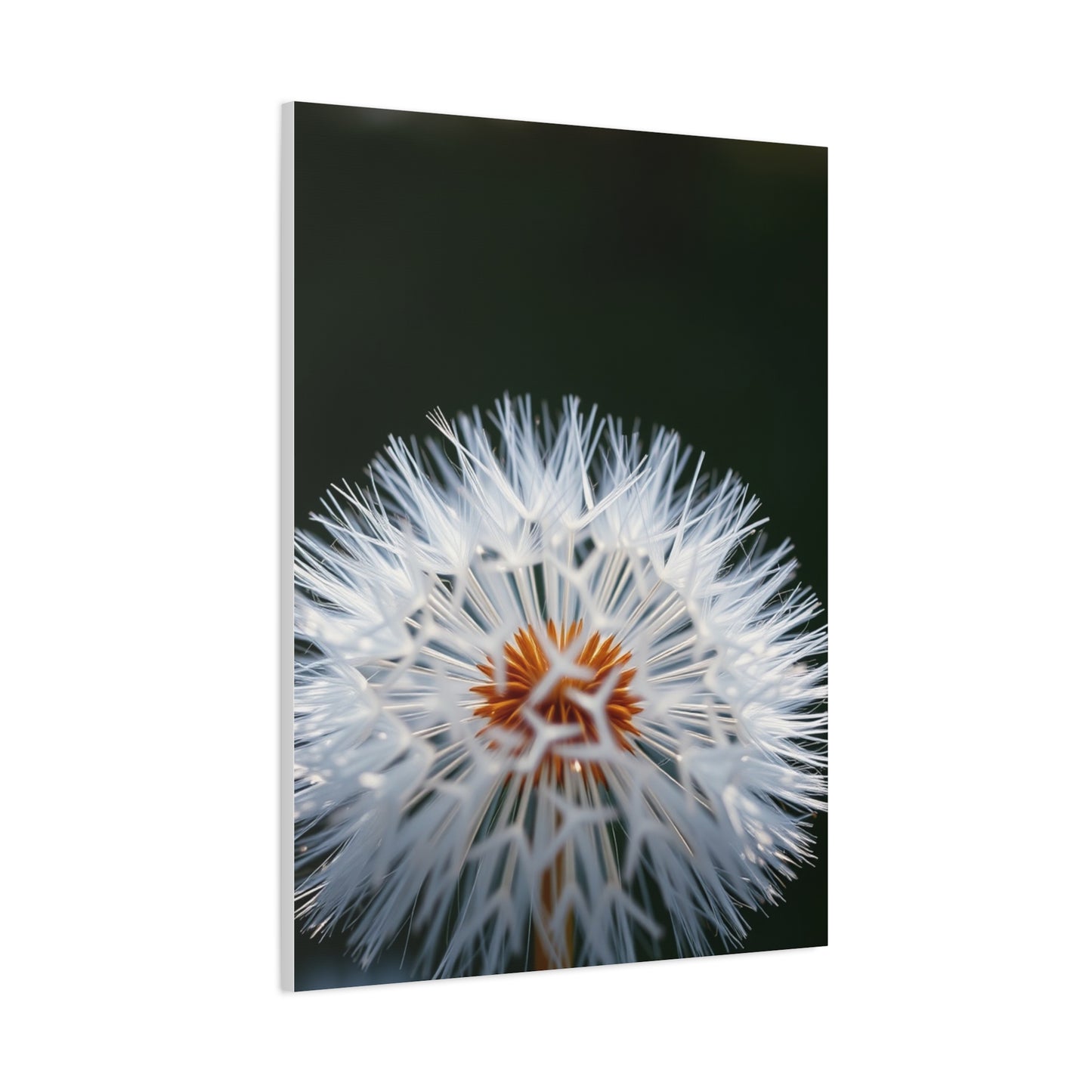 Elite Dandelion Flower Art Vision Wall Art & Canvas Print