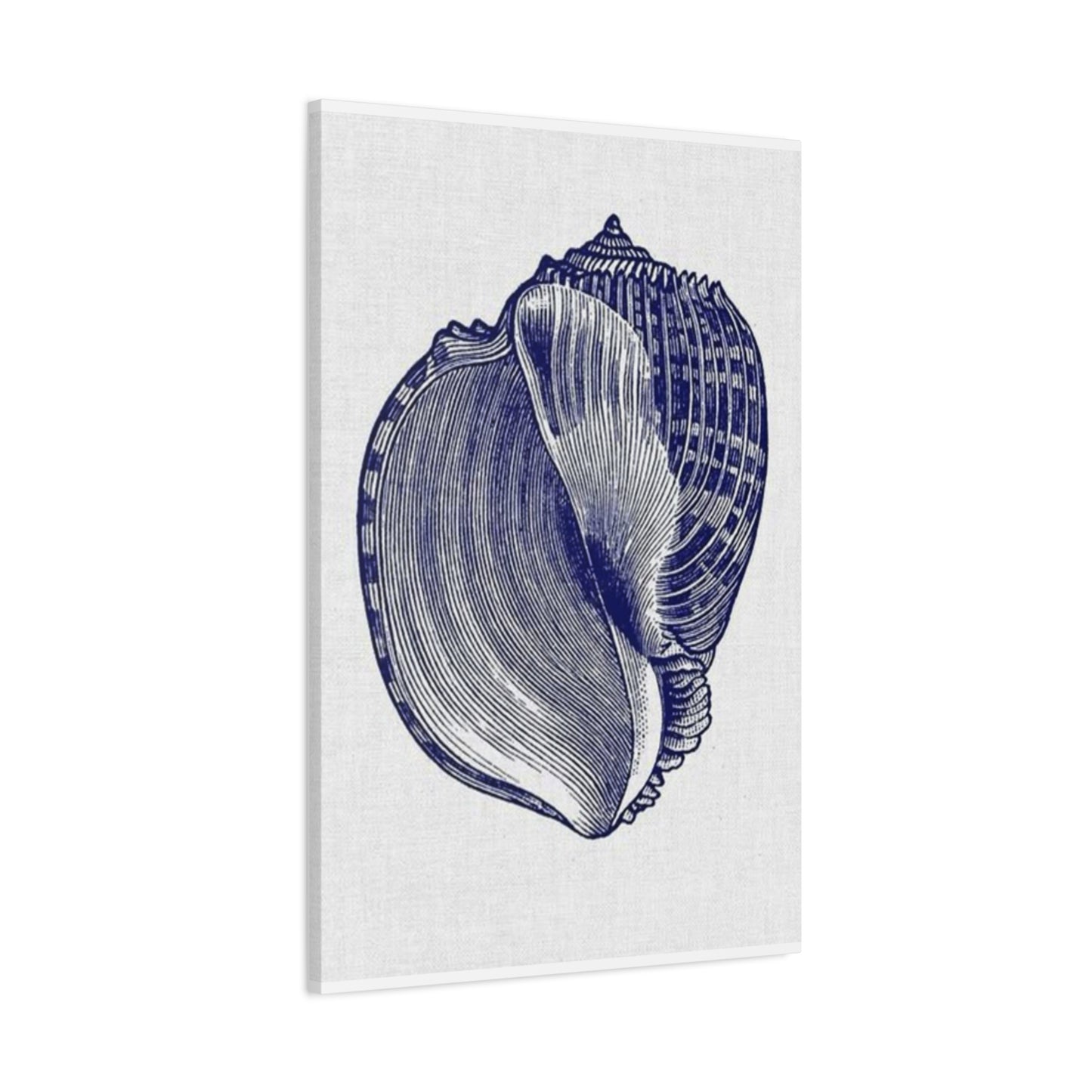 Beautiful Blue Shell Shape Drawing Wall Art & Canvas Prints