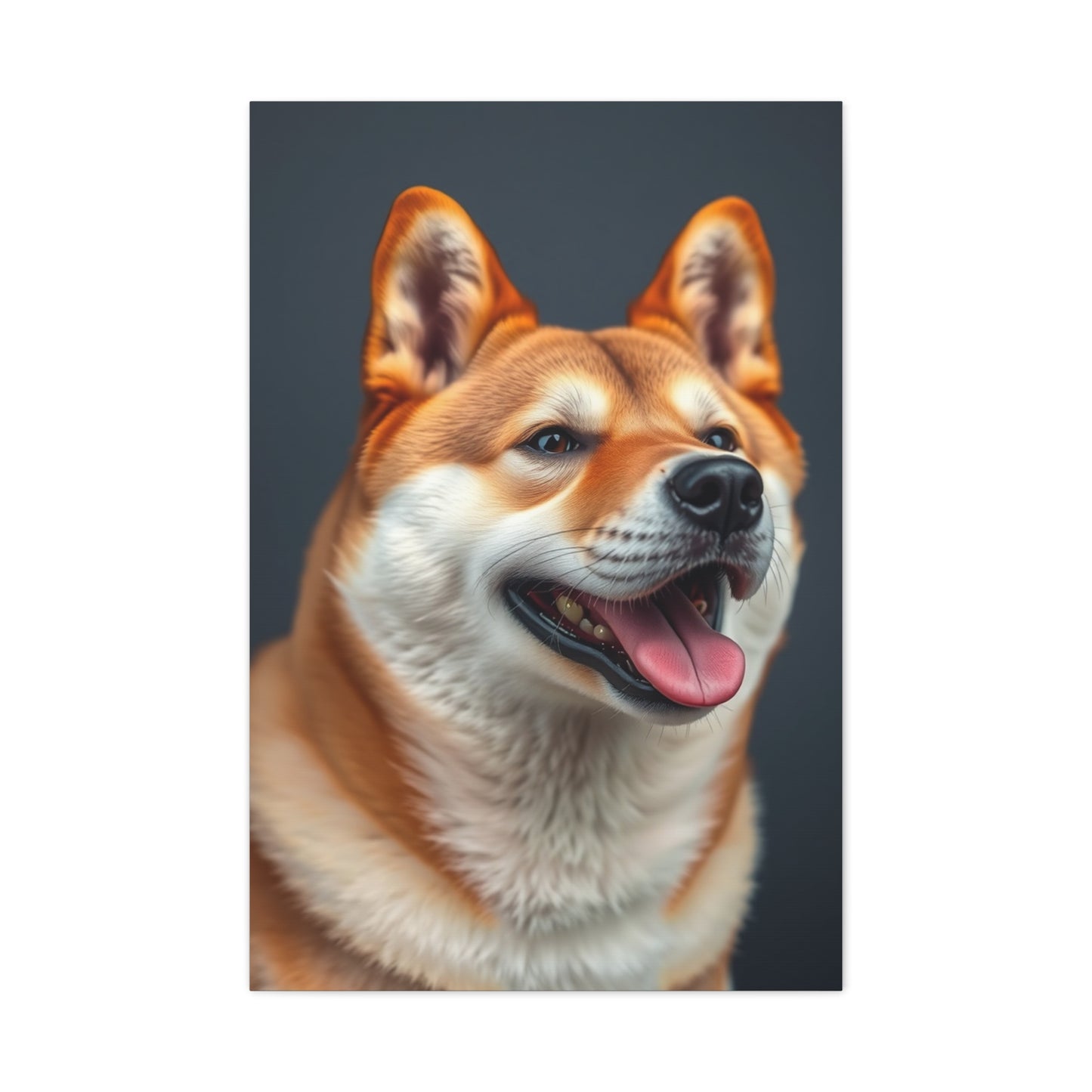 Supreme Shiba Inu Dog Art Collection Wall Art & Canvas Print