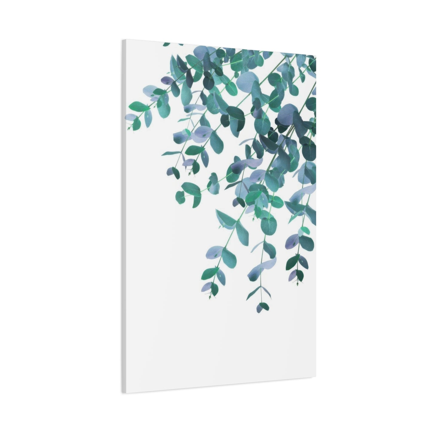 Eucalyptus Creeping Down Top Right Wall Art & Canvas Prints