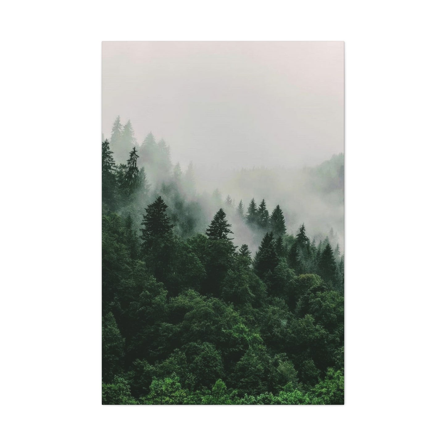 Green Lush Forest Wall Art & Canvas Prints