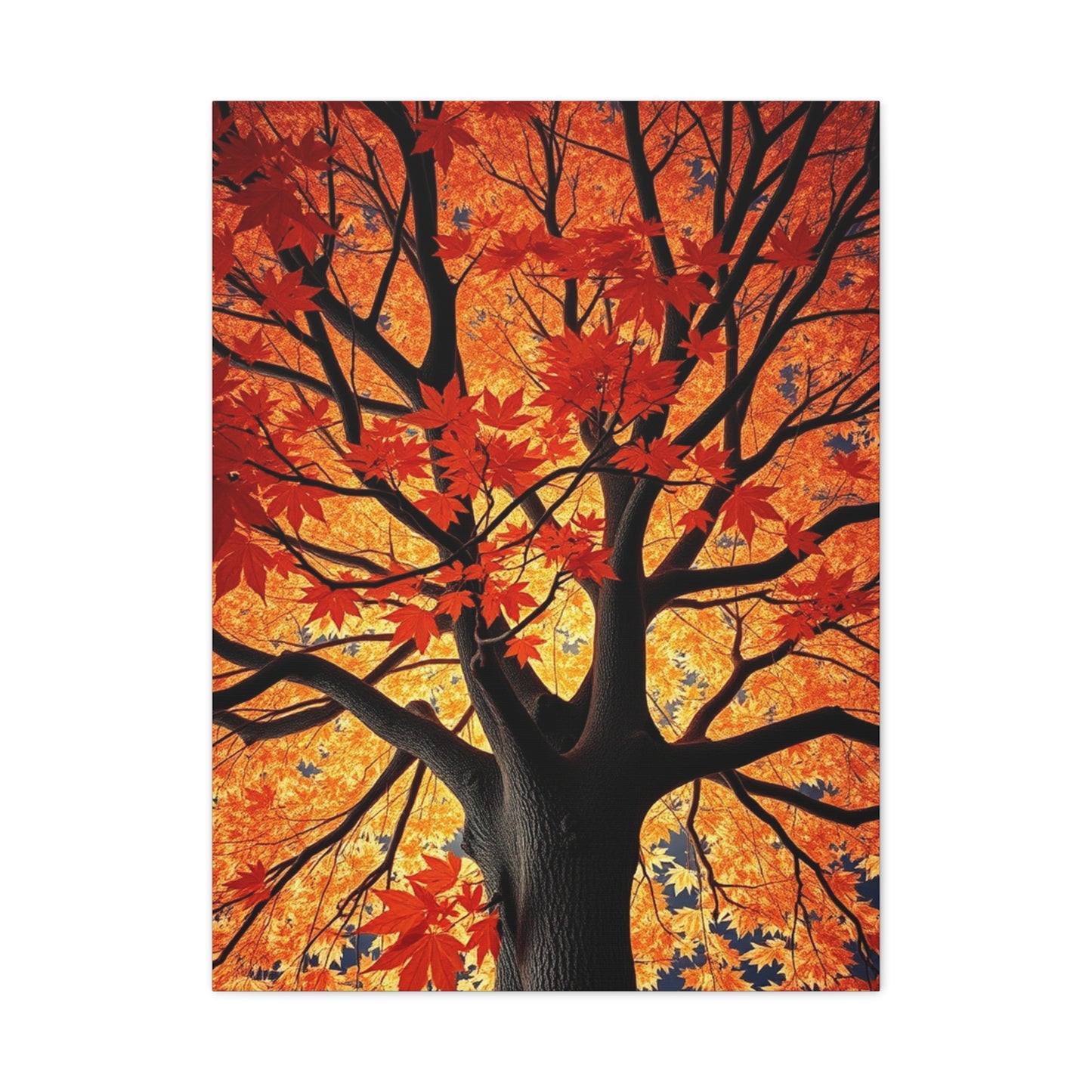 Collection Maple Tree Art Art Wall Art & Canvas Print