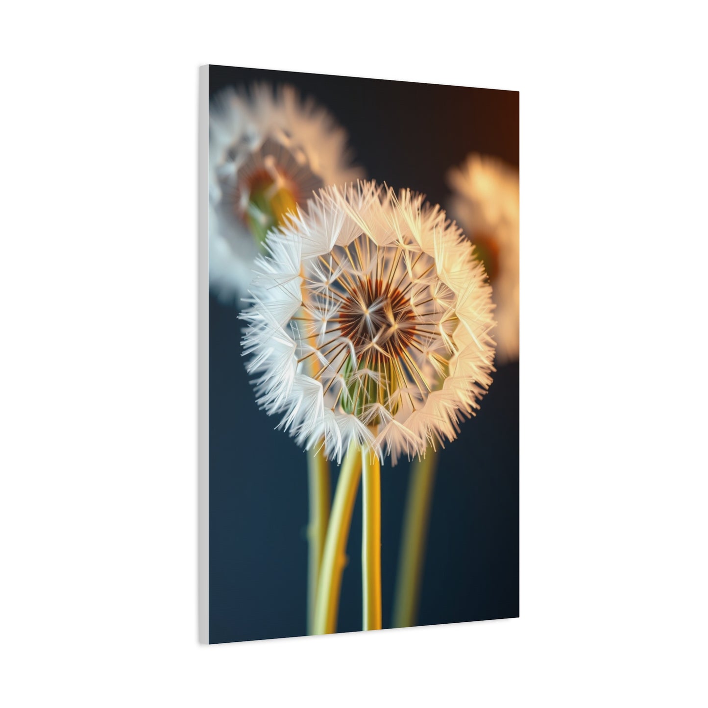Dandelion Flower Art Luxury Canvas Wall Art & Canvas Print