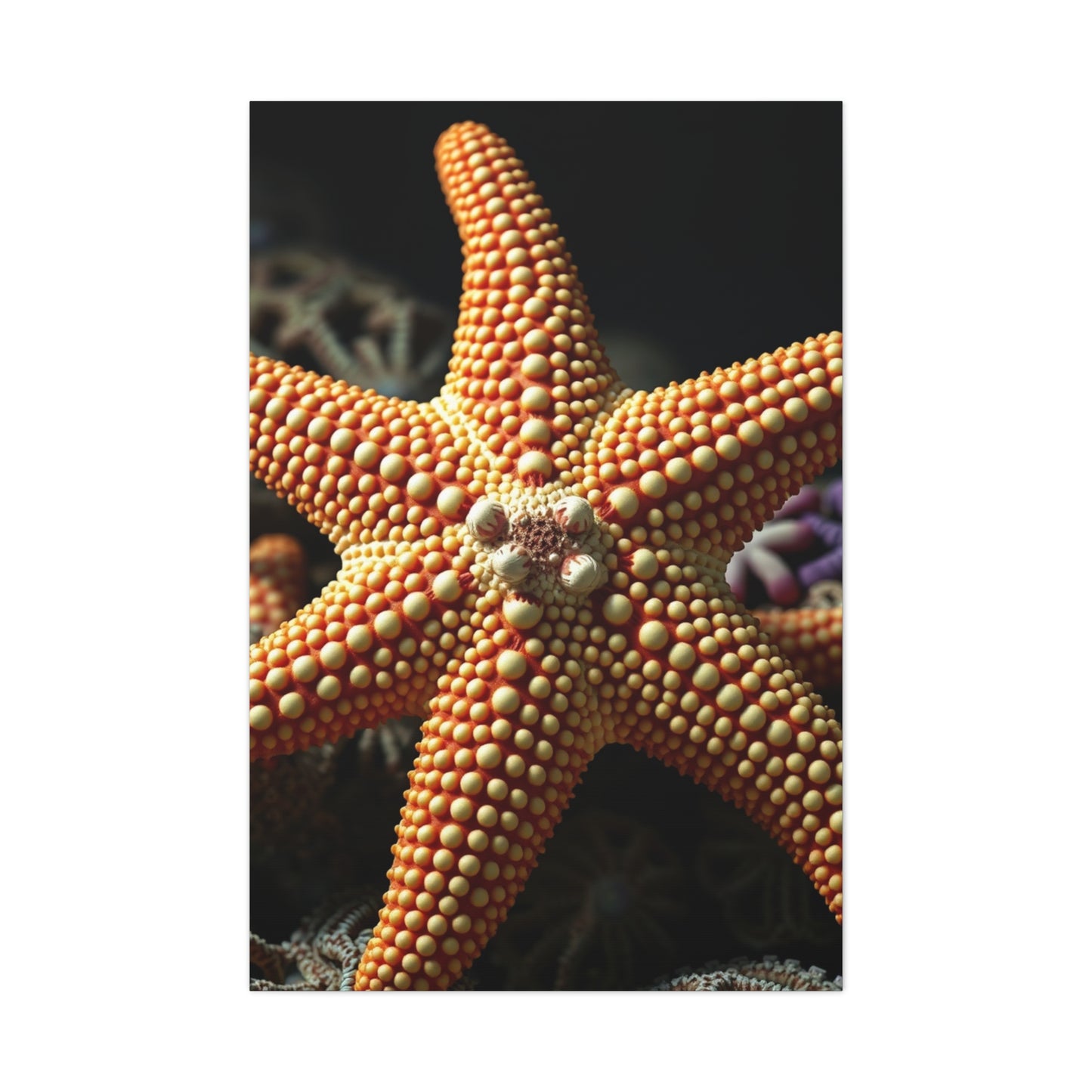 Supreme Starfish Art Collection Wall Art & Canvas Print