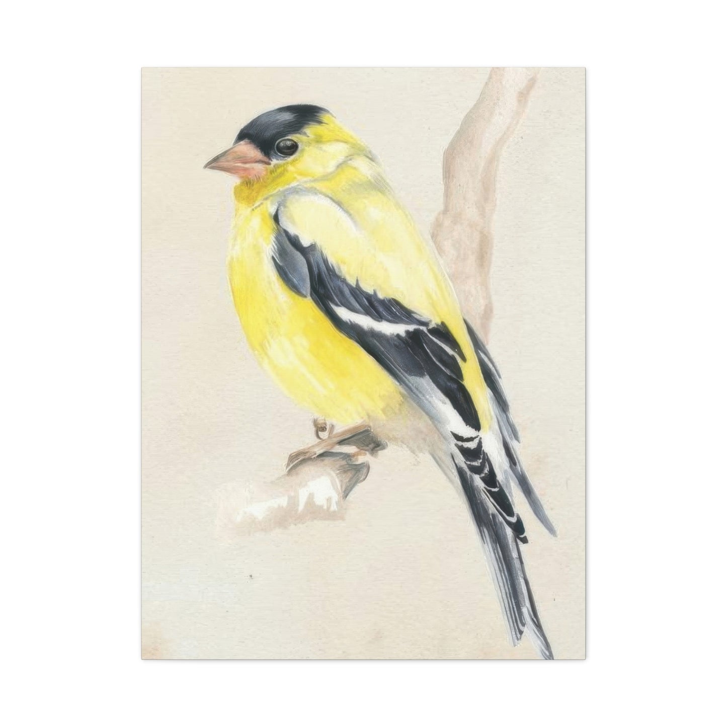 Jennifer Paxton Parker Little Bird On Branch 2 Wall Art & Canvas Prints