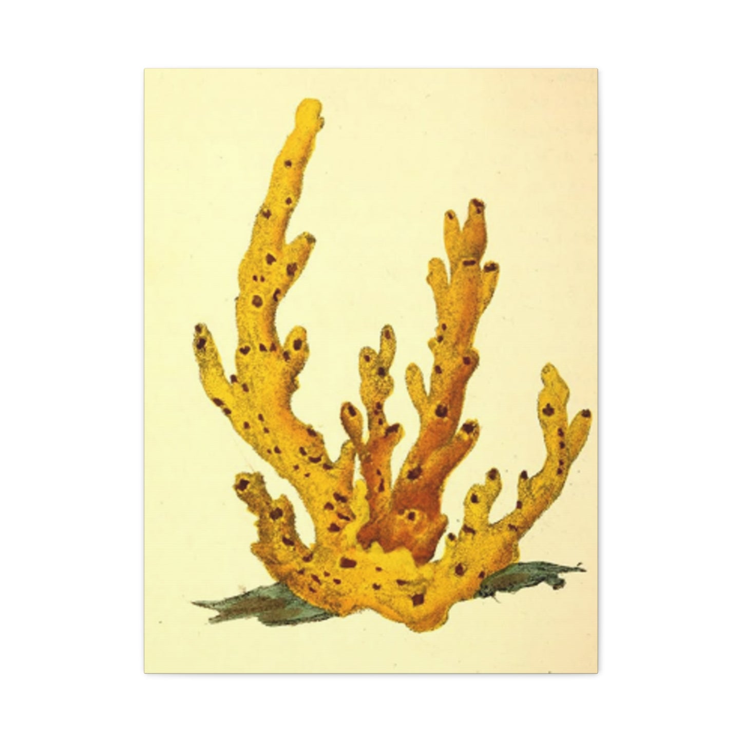 Yellow Shell Stem Painting Wall Art & Canvas Prints