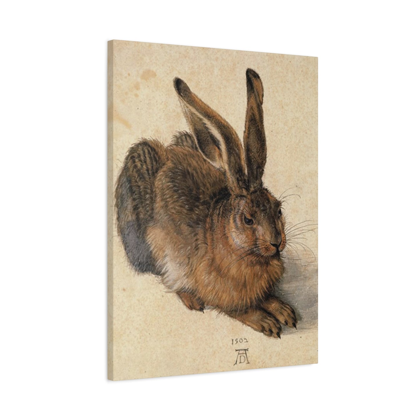 Large Brown Bunny Wall Art & Canvas Prints