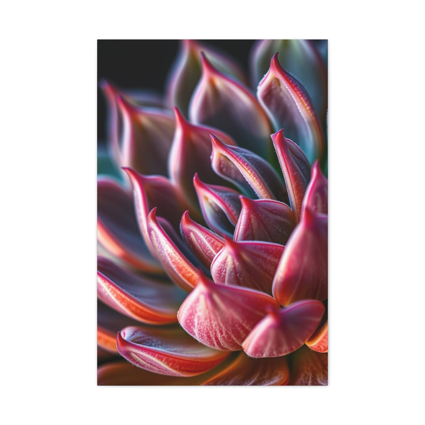Collection Succulent Art Art Wall Art & Canvas Print