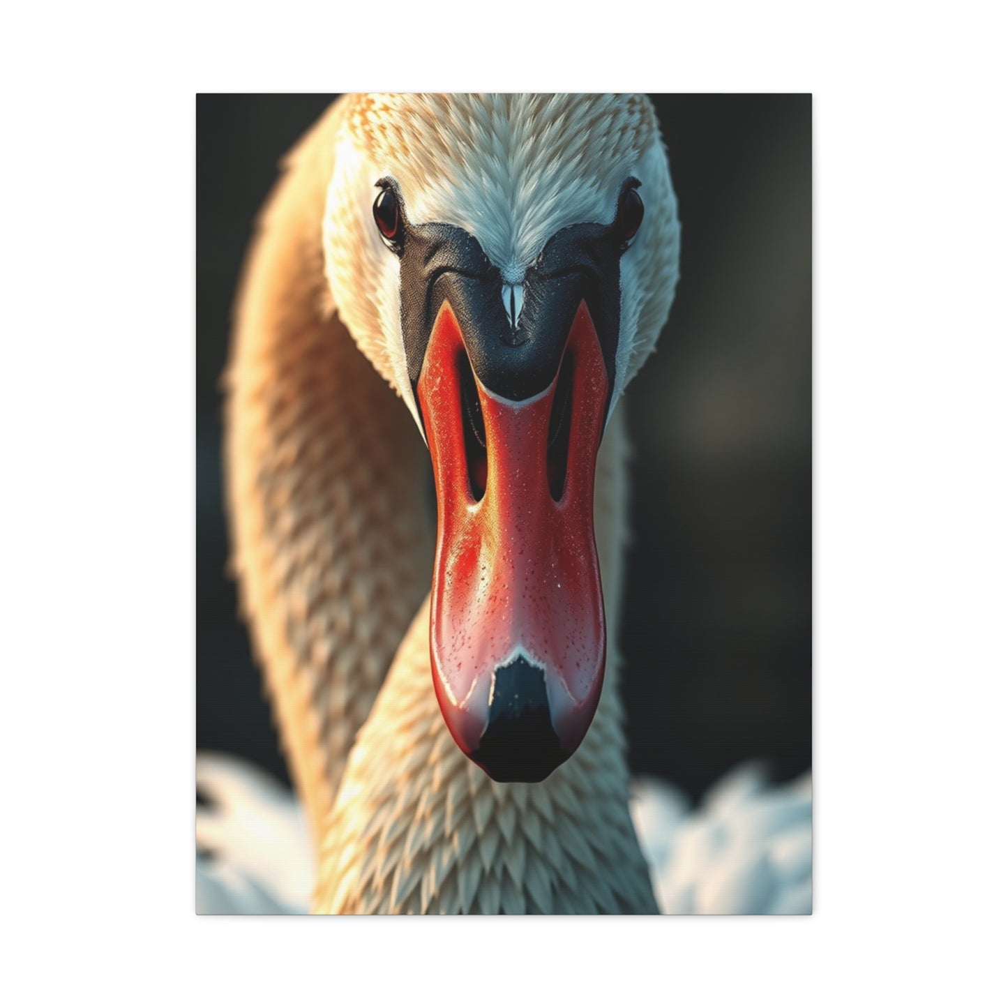 Swan Art Refined Canvas Wall Art & Canvas Print