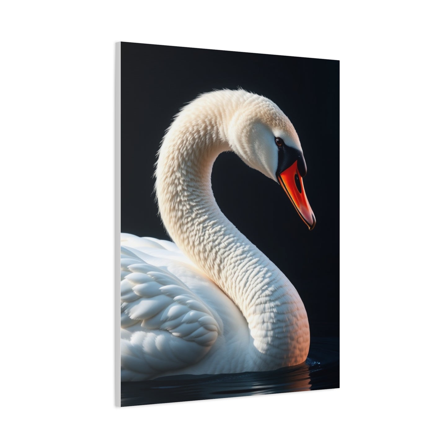 Supreme Swan Art Collection Wall Art & Canvas Print