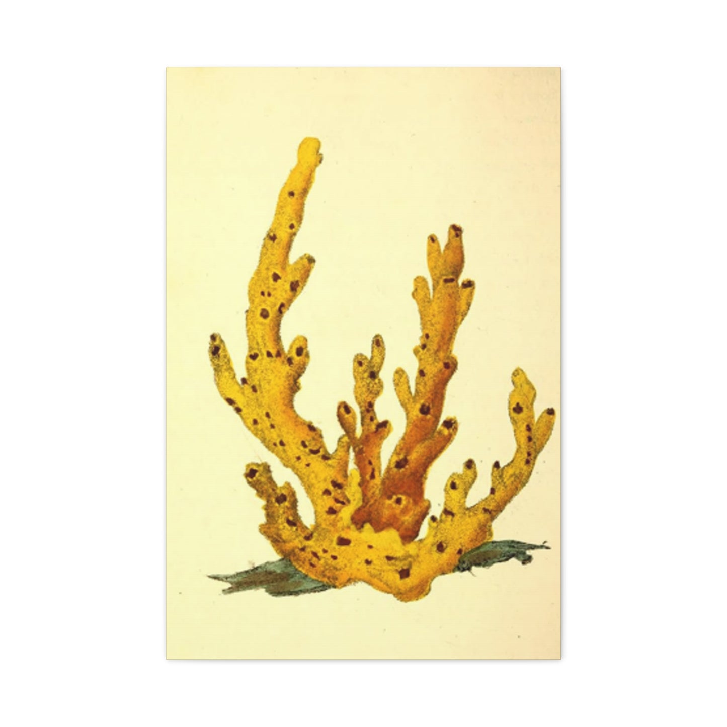 Yellow Shell Stem Painting Wall Art & Canvas Prints