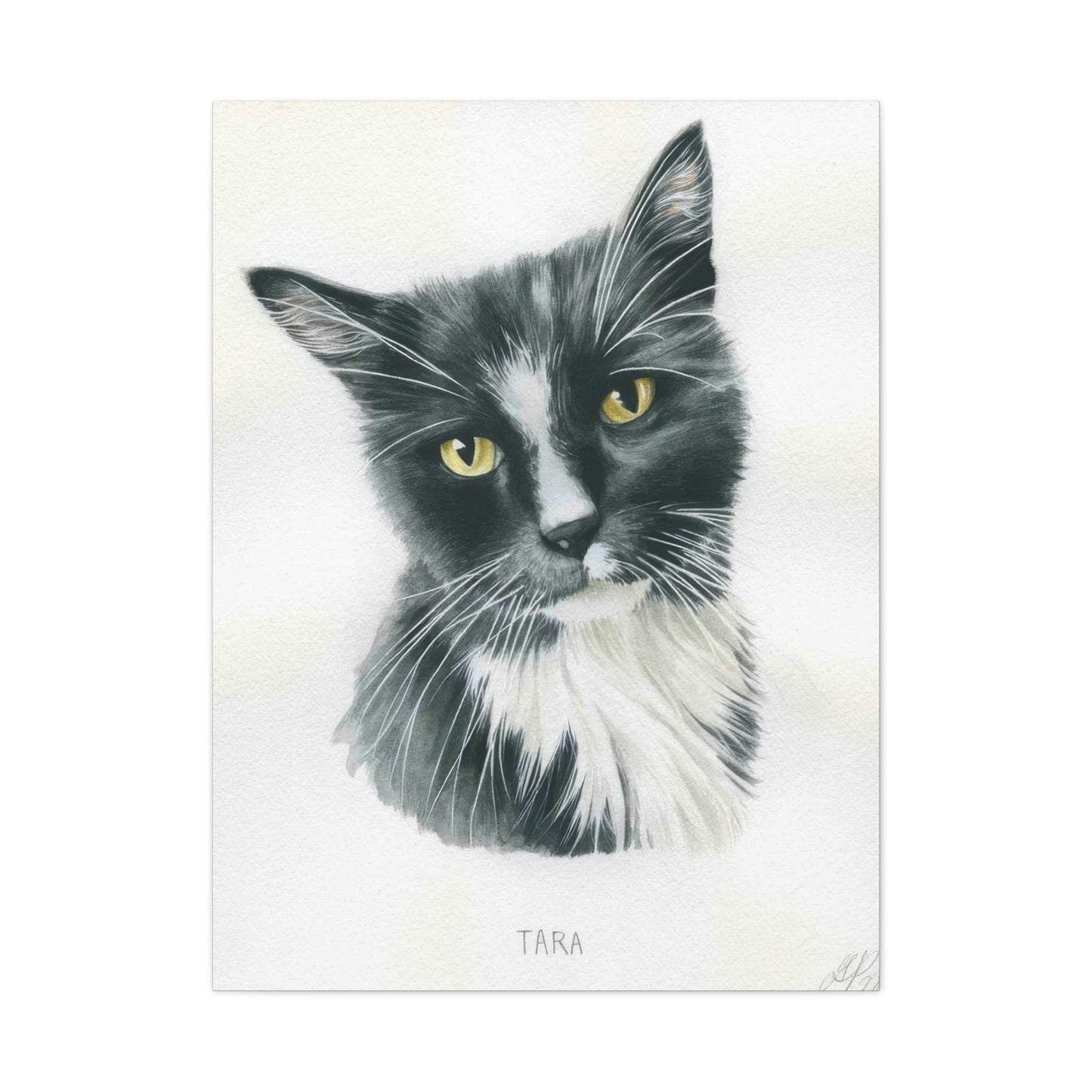 Grace Popp Tara The Cat Wall Art & Canvas Prints