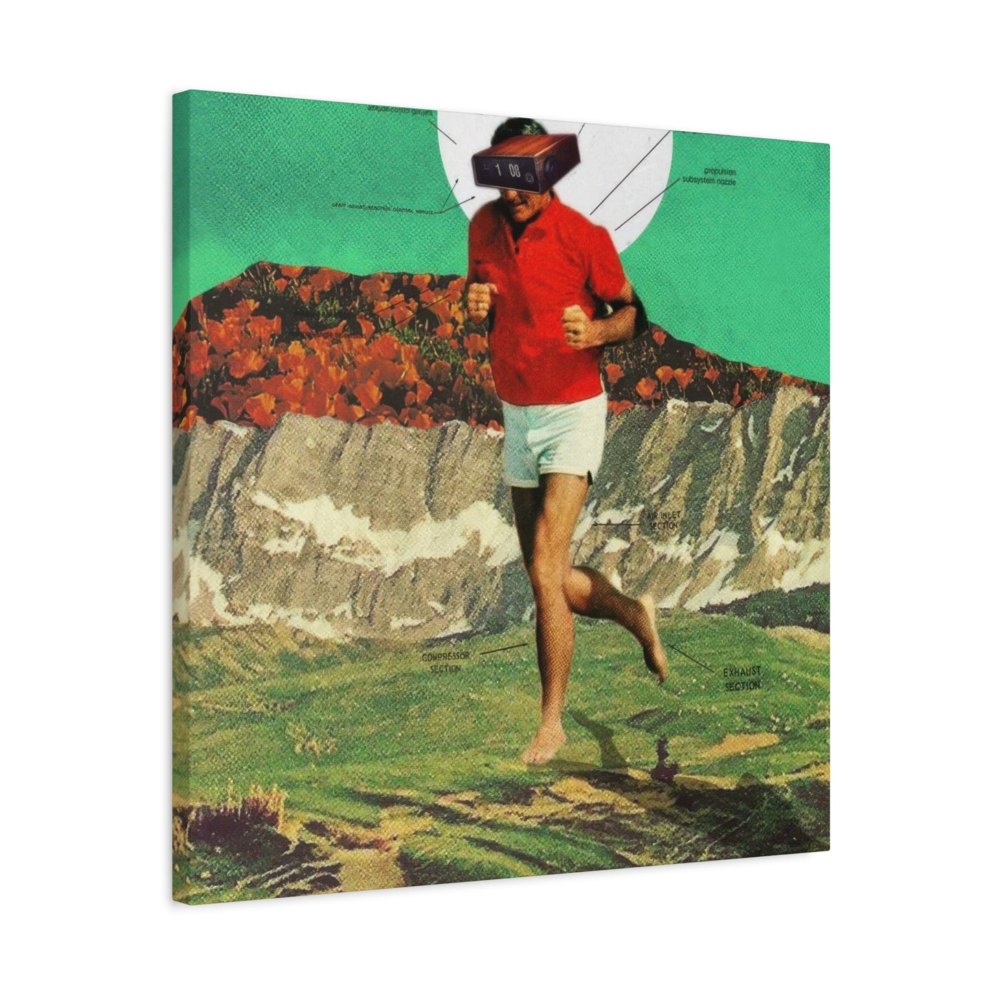 Frank Moth Sheeprunner Wall Art & Canvas Prints